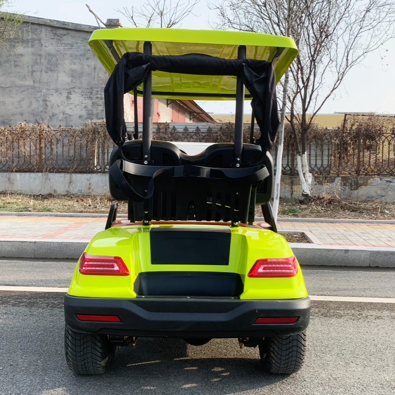Factory Price 2 Seat Luxury El - Luxury Bags Price 评论和价格