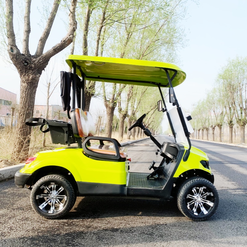 Factory Price 2 Seat Luxury El - Luxury Bags Price 评论和价格